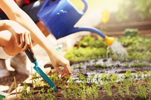 Urban garden landscaping in Shadwell with structured planting and paved areas
