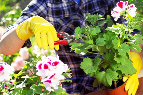 Garden design and build project ideas for a Shadwell urban outdoor space