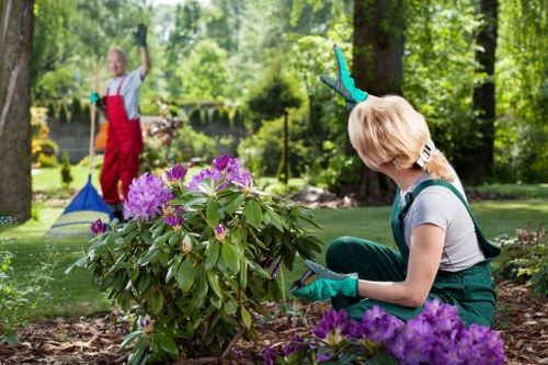 Soft landscaping planting beds and turf work in a Shadwell garden