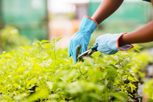 Supplier audit process for modern slavery risk