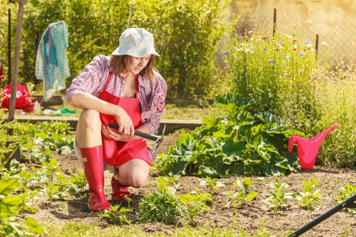 A local garden design process for homes and businesses in Shadwell