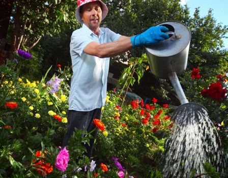 Materials and payment arrangement for landscaping services