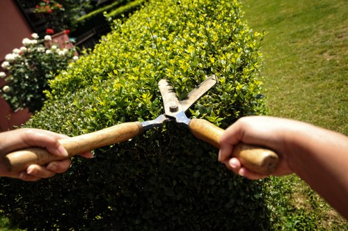 Landscape staff managing site hazards during maintenance