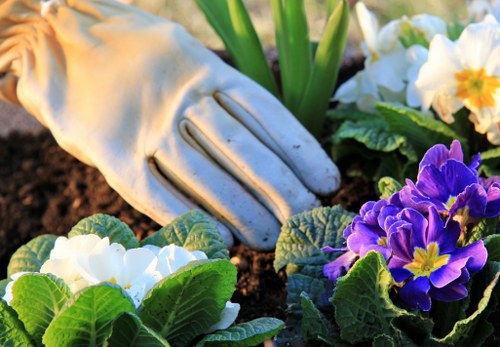 Garden clearance and landscaping pricing in Shadwell for a compact urban property
