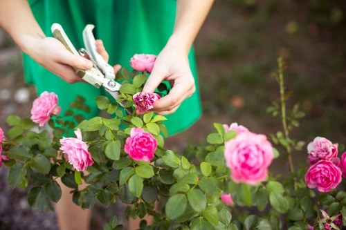 Low-maintenance garden landscaping features for local properties