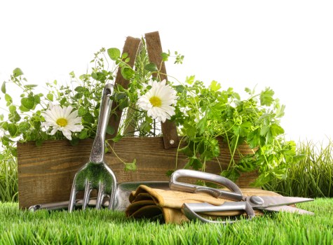 Encrypted Landscaping Shadwell online payment security in use