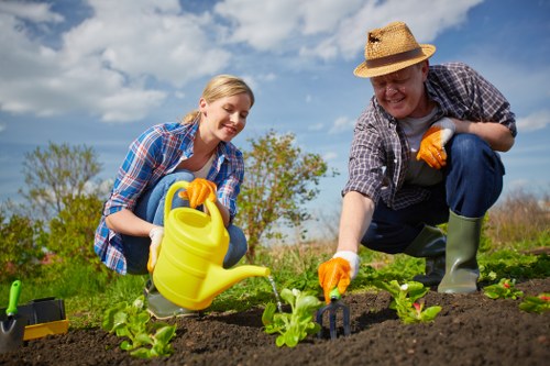 Professional garden landscaping details for Shadwell spaces