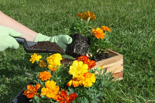 Practical patio and planting layout for a small city garden
