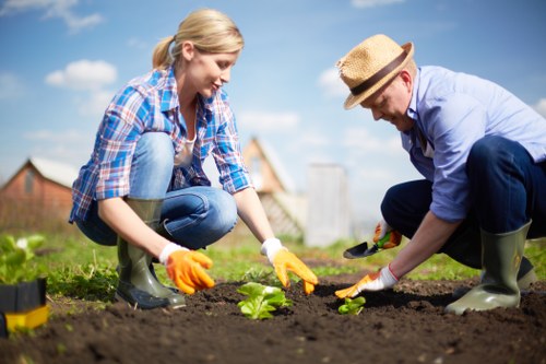 Transparent pricing and quote summary for Shadwell landscaping projects