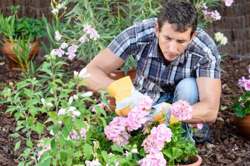 Accessibility request information for Shadwell landscaping website